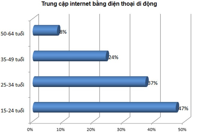 thongkeinternet15